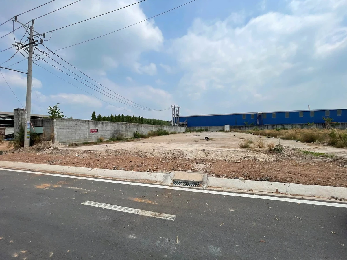 Bán đất xây kho xưởng 5x52m Phùng Hưng, Bình Chánh - Ảnh thu nhỏ 2
