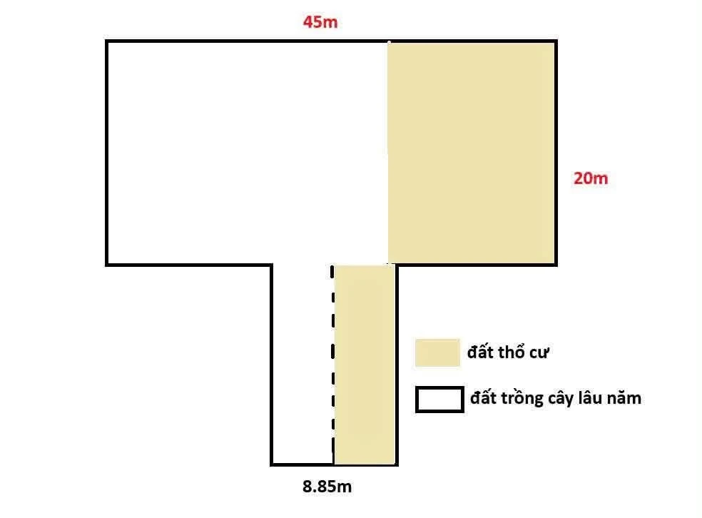 Bán lô đất xây biệt thự 1.151 m2 Dĩ An, Bình Dương 30 tỷ - Ảnh thu nhỏ 4