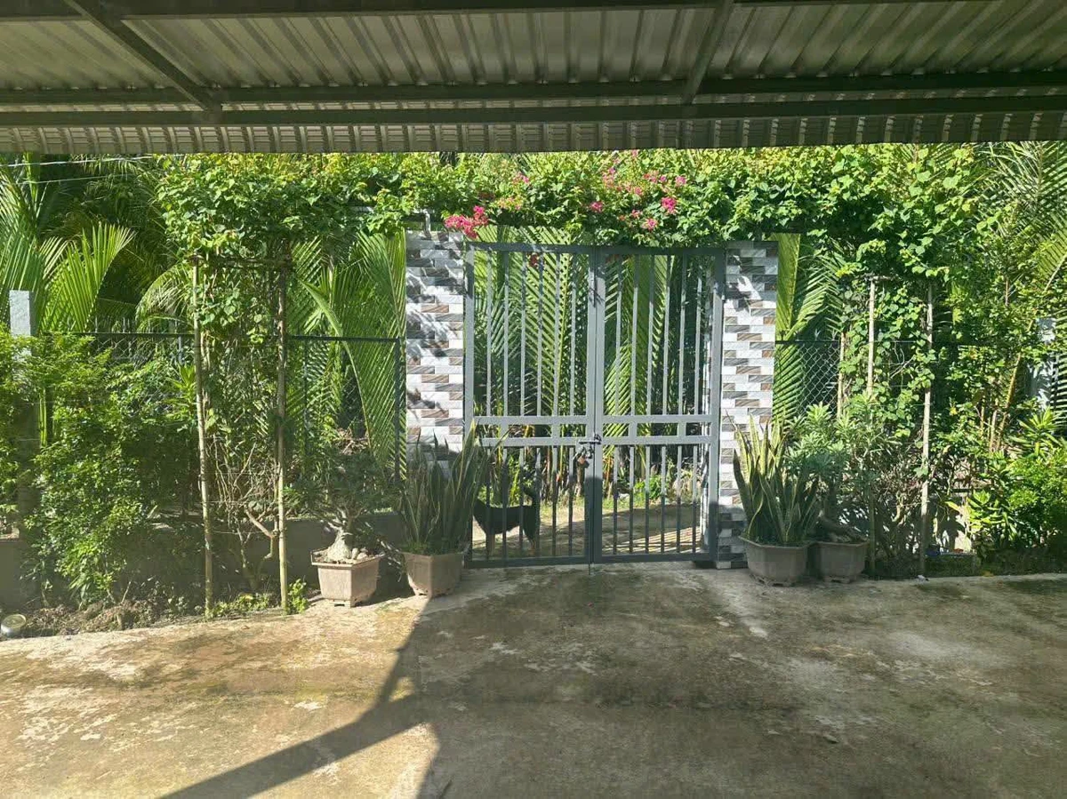 Bán đất Lương Hòa Vĩnh Long 1800m2 giá 1tỷ290 - Ảnh thu nhỏ 4