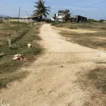 Chính chủ cần bán trọn gói cụm 3 thửa đất liền kề nhau, An Thạnh 2, Phước Dinh, Khánh Hòa - Ảnh thu nhỏ 12