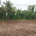 Bán đất nền 5x23m (115m²) 195 triệu, Vũng Liêm, Vĩnh Long - Ảnh thu nhỏ 2