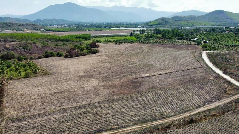 Bán đất nền 29.500m² Diên Khánh, Nha Trang 25 tỷ