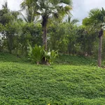 Bán nhà vườn 2 phòng 4.700m² hồ bơi Khánh Phú Nha Trang - Ảnh thu nhỏ 2