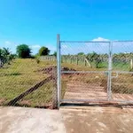 Bán đất mặt tiền 1 sào Hàm Liêm gần Phan Thiết - Ảnh thu nhỏ 3