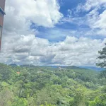 Bán đất tặng nhà view rừng thông 45m2 đường 3/4, Phường 3, Đà Lạt - Ảnh thu nhỏ 2