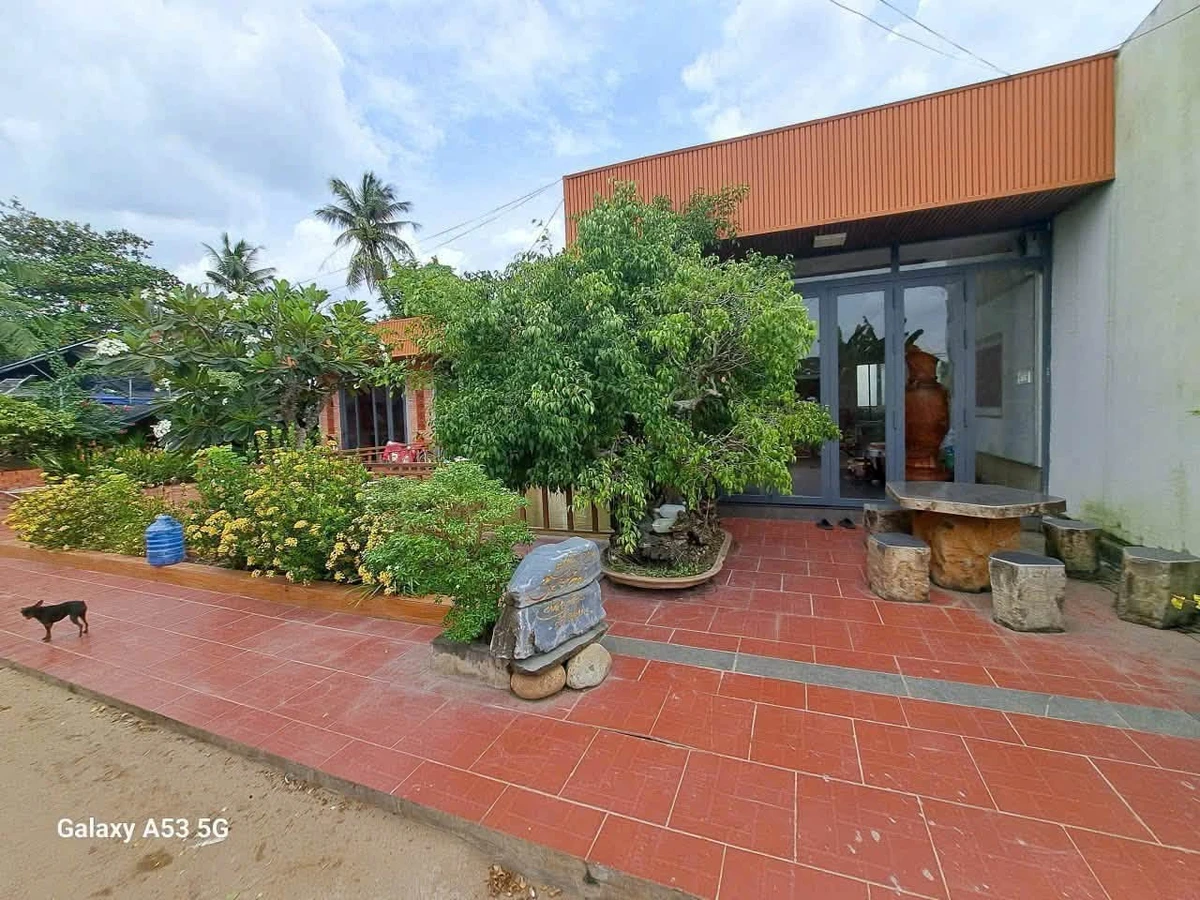 Bán đất vườn 1889m² tại Phước Lợi, Bến Lức 11 tỷ - Ảnh thu nhỏ 4