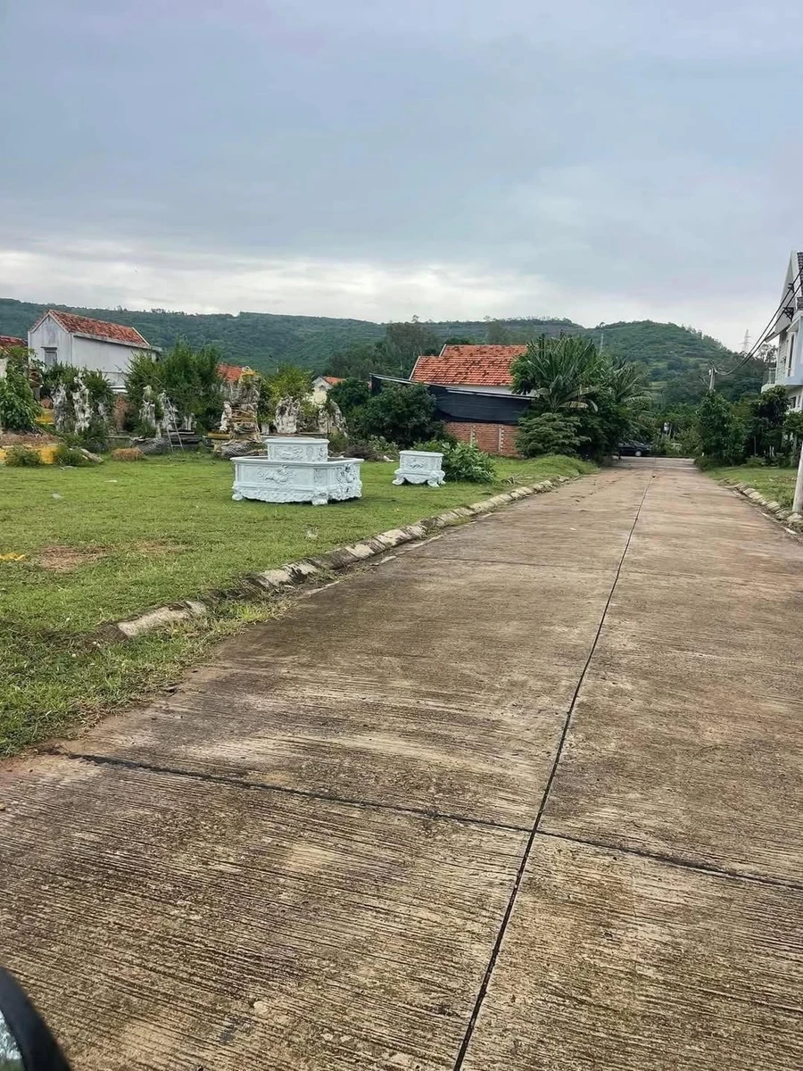 Bán đất 200m² Gò Điều, Bình Chánh, 1 tỷ - Ảnh 1