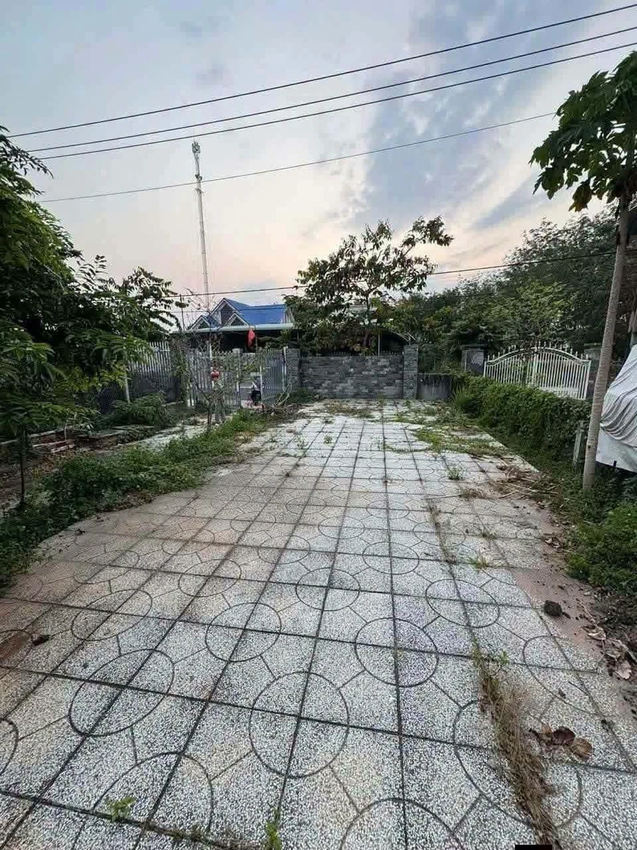 Bán đất Trần Văn Trà Tây Ninh 440m² 1 tỷ 6 - Ảnh thu nhỏ 3