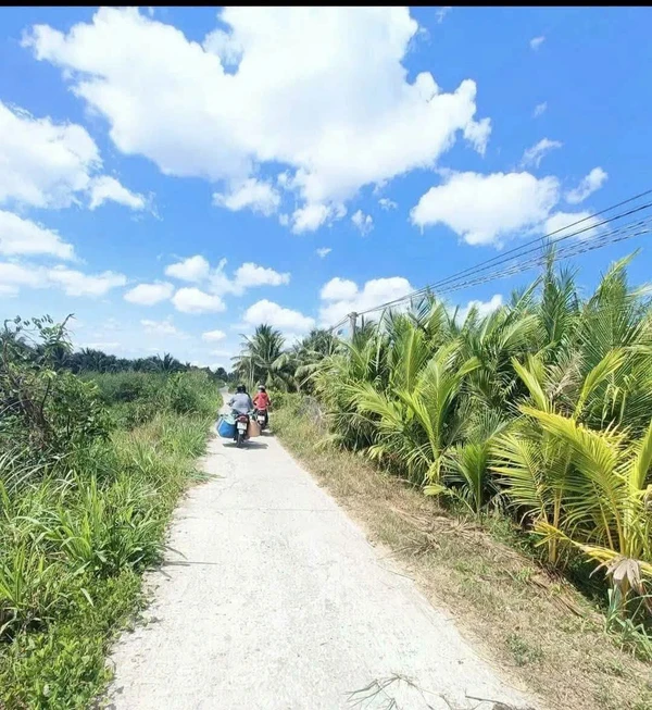 Bán đất vườn An Sơn Đà Lạt 13.000m² giá 11,3 tỷ pearls