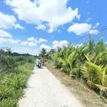 Bán đất vườn dừa xiêm 6000m² Lương Hòa Cần Giờ - Ảnh thu nhỏ 1