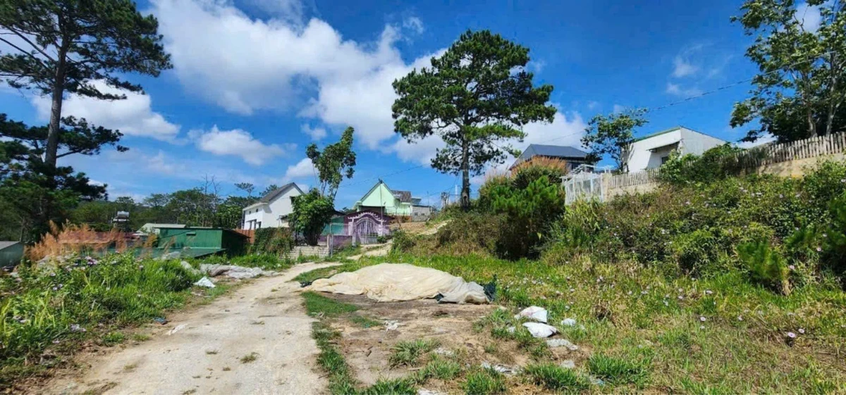 Bán lô đất 3000m² với nhà cấp 4, Xuân Thọ, Bình Dương - Ảnh thu nhỏ 4