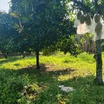 Bán đất vườn 500m² có thổ cư ở Long Khánh, Đồng Nai - Ảnh thu nhỏ 1