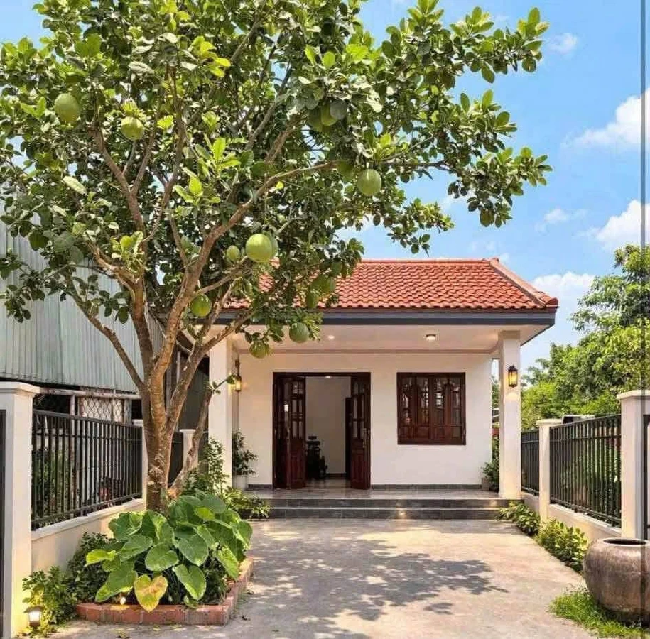 Bán nhà mặt tiền Lê Văn Tường Tây Ninh 250m² 1,55 tỷ - Ảnh thu nhỏ 2