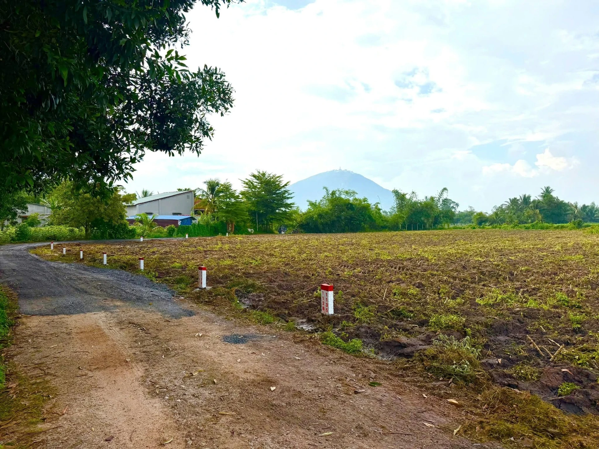Bán đất 1000m2 (100m2 thổ cư) tại Tây Ninh 560 triệu - Ảnh 1
