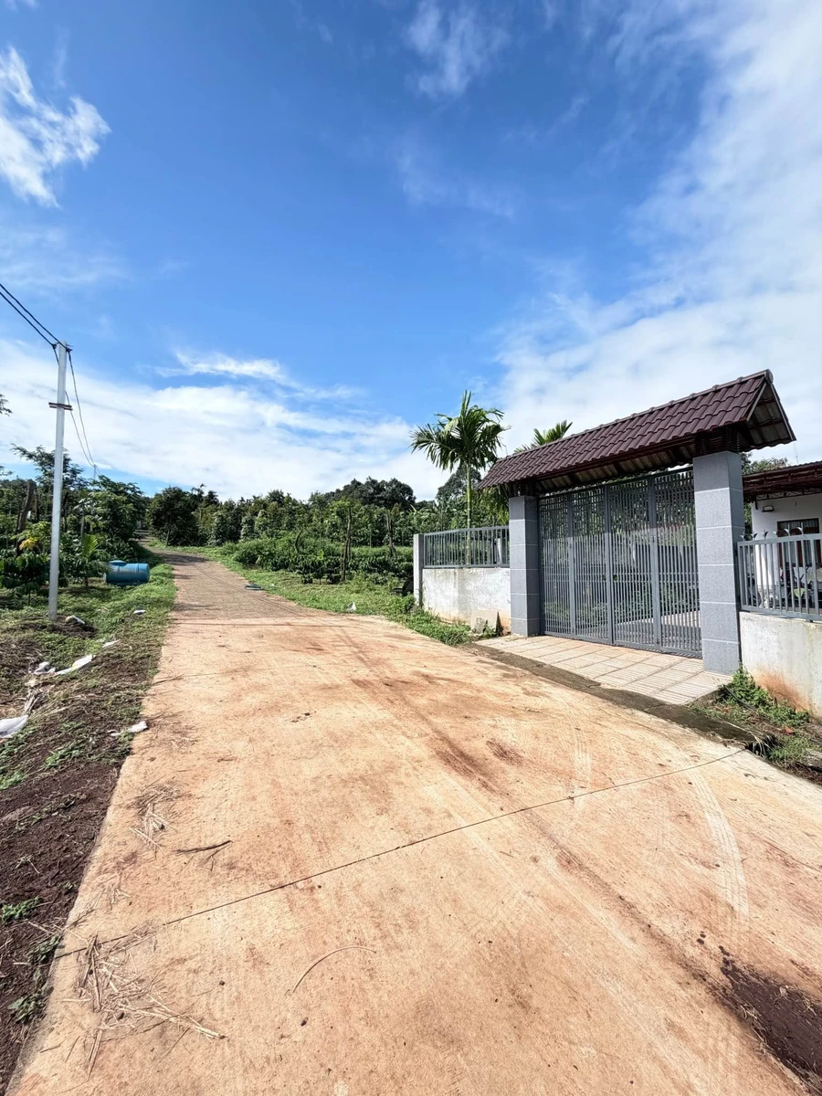 Bán nhà vườn 520m² Đường 19 Tháng 5, Bình Thạnh, 2,1 tỷ - Ảnh thu nhỏ 4