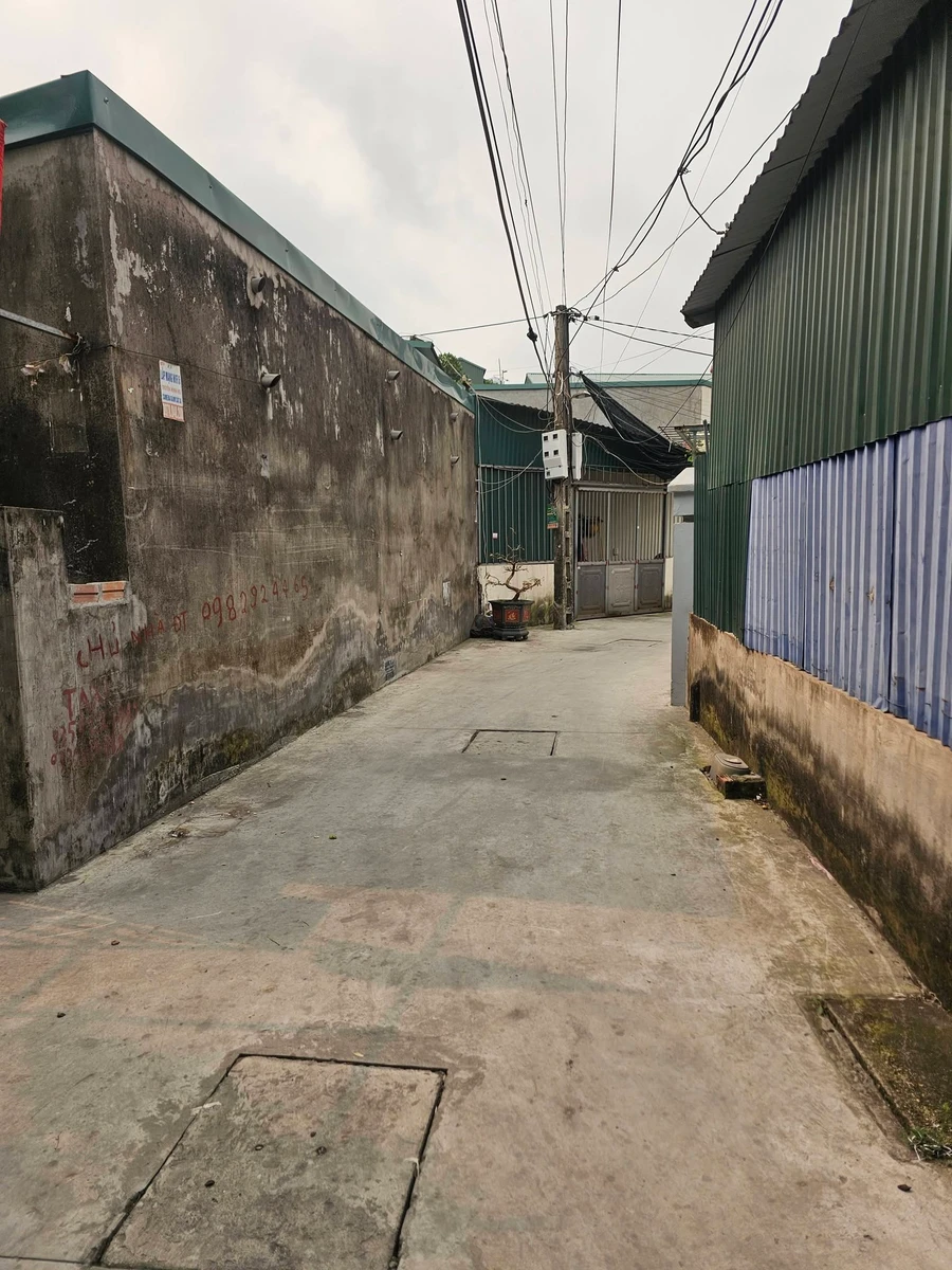 Bán đất 62m² mặt tiền 4m Hải Phòng - Ảnh thu nhỏ 4