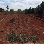 Bán đất Hoàng Hoa Thám Phước An 170m² giá 1 tỷ - Ảnh thu nhỏ 1