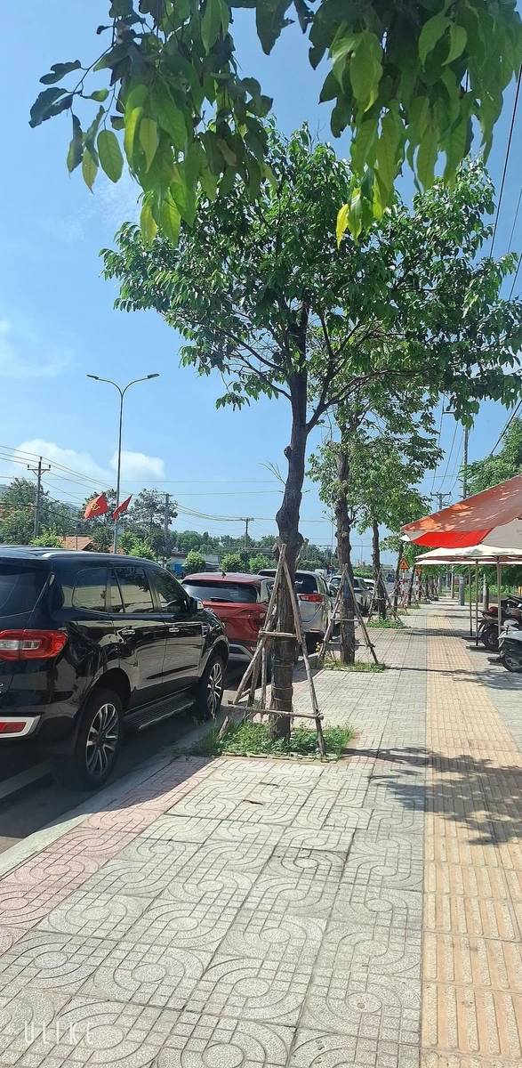 Bán lô đất mặt tiền Nguyễn Tất Thành Long Hải 147m2, 4.7 tỷ - Ảnh 1