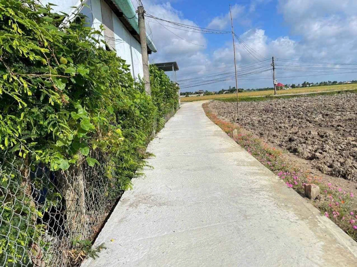 Bán nền đất 129m2 Xã Đức Tân, Tân Trụ, Long An - Ảnh thu nhỏ 4