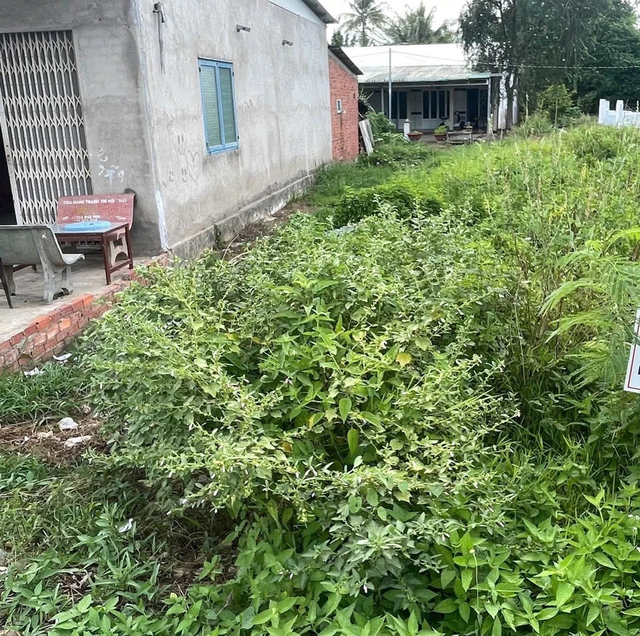 Bán gắp mặt tiền đất 117m² xã Mỏ Cày 1,3 tỷ - Ảnh thu nhỏ 3