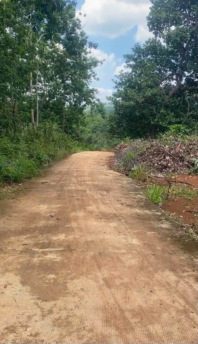 Bán nhanh 3,7ha đất vườn cao su và điều tại Phú Trung, Bình Phước - Ảnh thu nhỏ 3