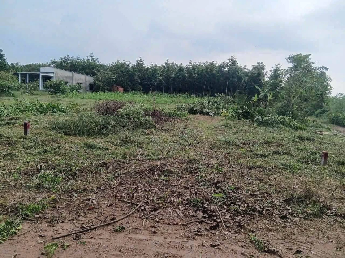 Bán đất An Phú, Bình Chánh, 5x43m, 130 triệu - Ảnh 1