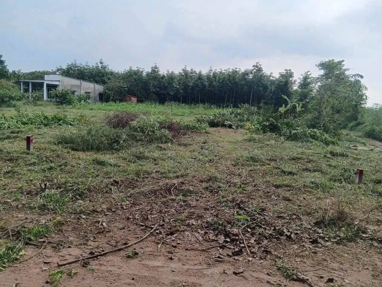 Bán đất An Phú, Bình Chánh, 5x43m, 130 triệu - Ảnh 1