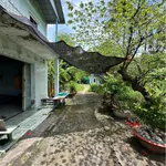 Bán đất thổ cư 123.5m² Phường Long An, Tân An - Ảnh thu nhỏ 2