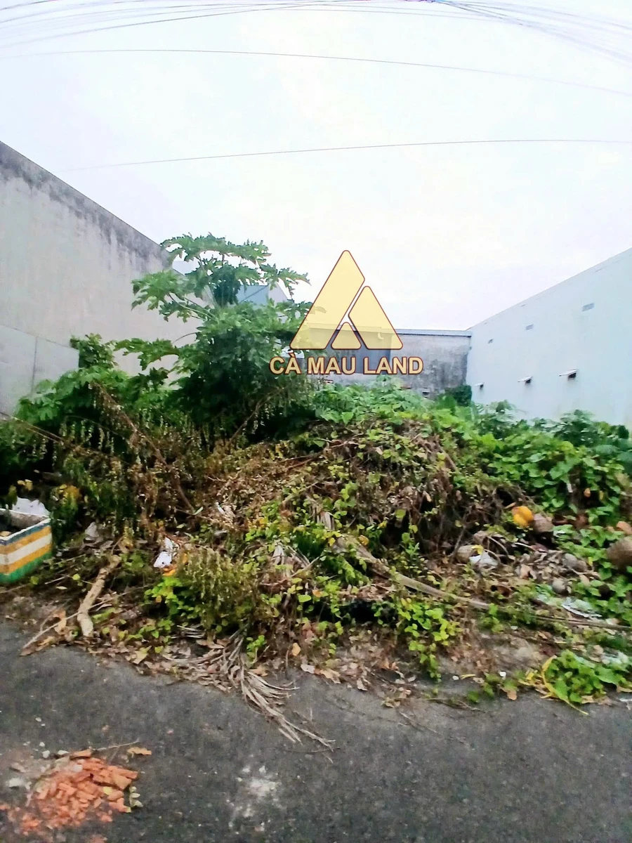 Bán nền đất Dương Văn Thà Cà Mau 99m² - Ảnh thu nhỏ 3