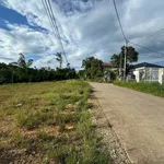 Bán đất kiệt ô tô 123m² Đại Nam Bình Tân 1,1 tỷ - Ảnh thu nhỏ 4