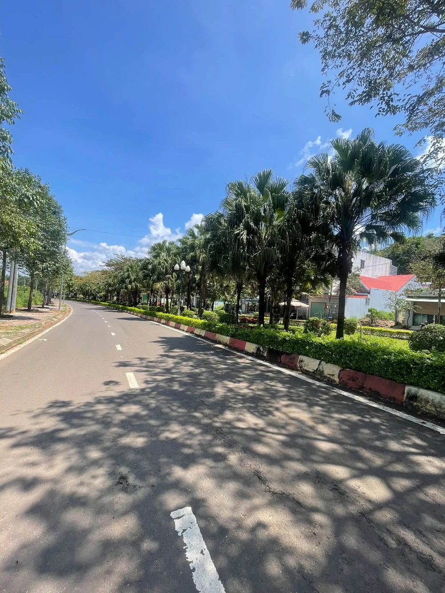 Bán đất mặt đường Tôn Đức Thắng, Lâm Đồng, 359m², 2,8 tỷ - Ảnh thu nhỏ 3