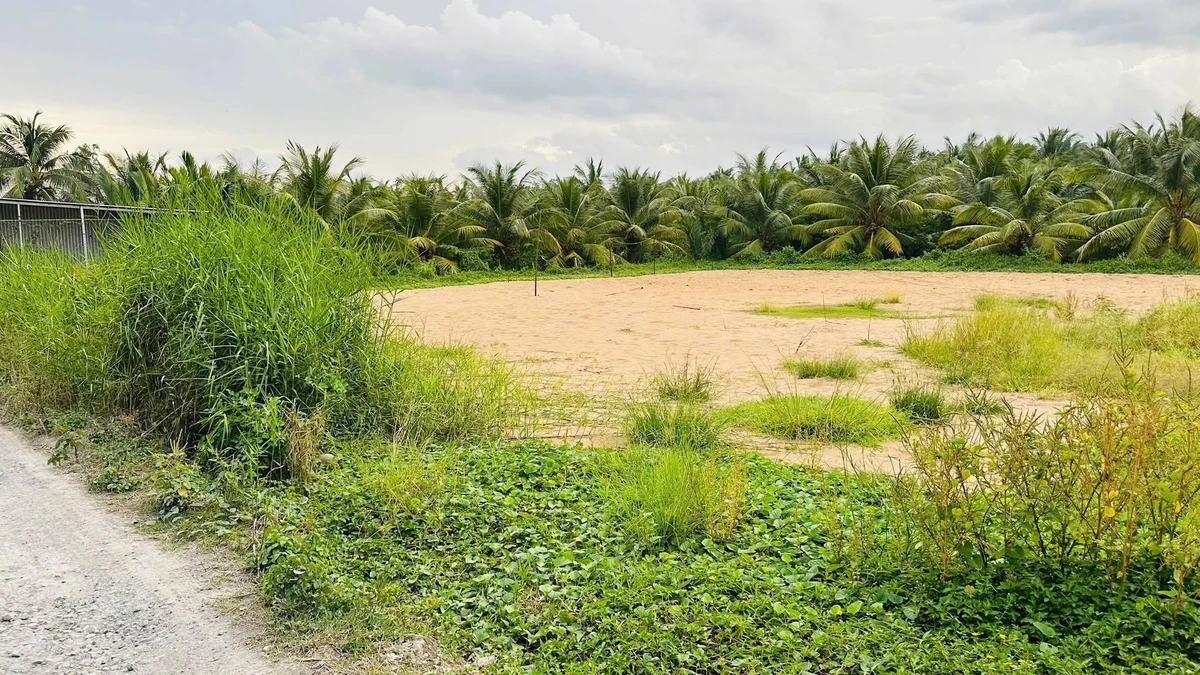 Bán đất vườn 1.650m² (600m² thổ cư) Đồng Tháp 4,2 tỷ - Ảnh thu nhỏ 3