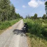 Bán đất vườn 1000m2 hai mặt tiền Đức Huệ, Tây Ninh - Ảnh thu nhỏ 3
