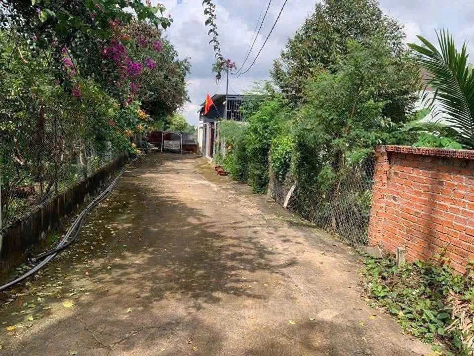 Bán đất Ea Kao 200m² giá 1 tỷ 380 triệu - Ảnh thu nhỏ 2