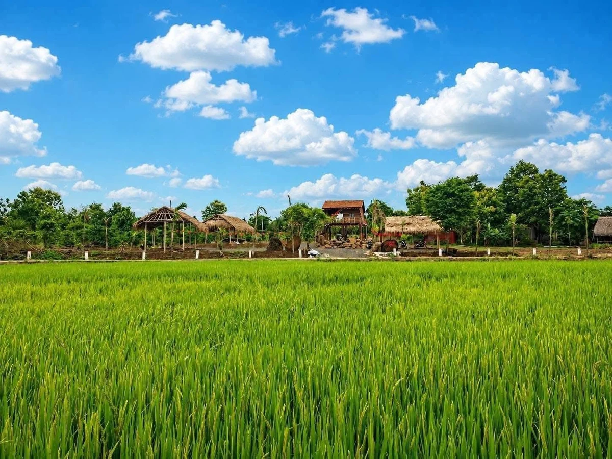 Bán nhà vườn 3400m² Hòa Phú Đắk Lắk 2,55 tỷ - Ảnh 1