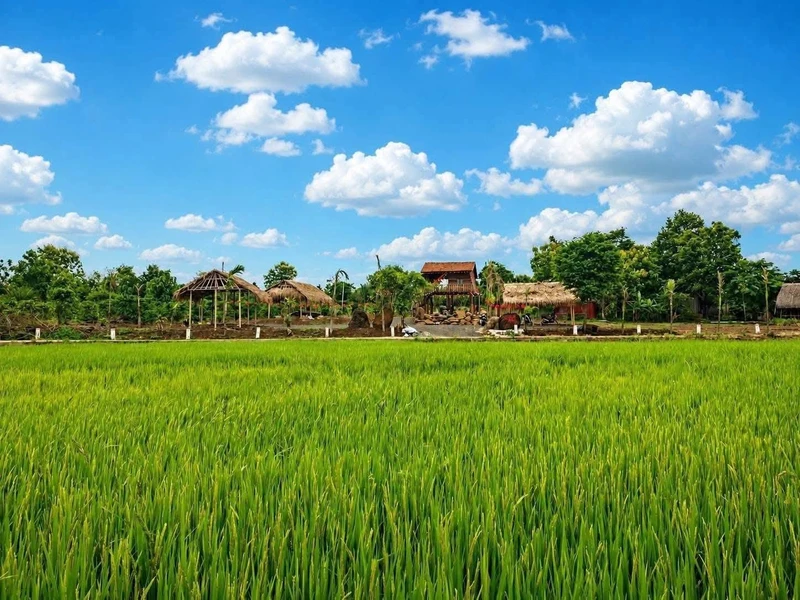 Bán nhà vườn 3400m² Hòa Phú Đắk Lắk 2,55 tỷ