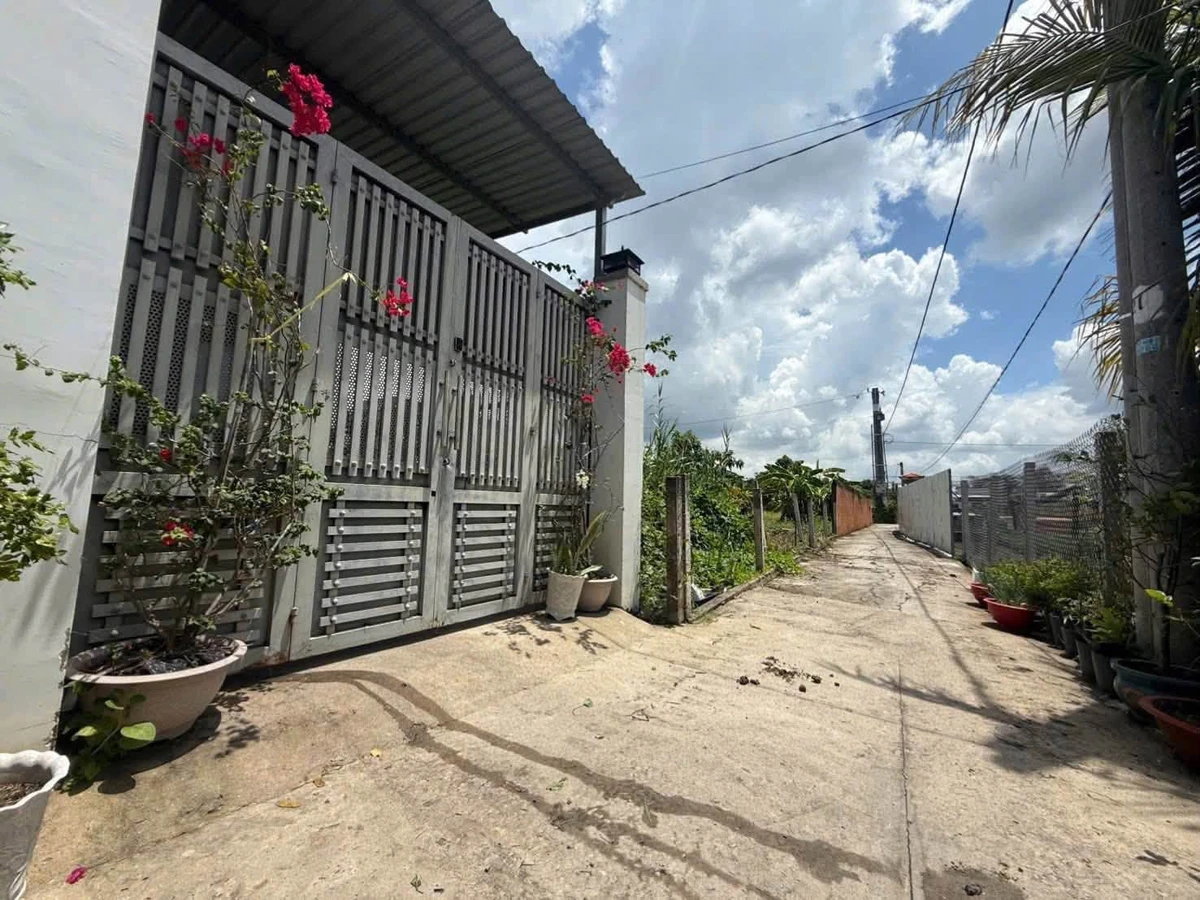 Bán đất lúa 1.300m² Nhà Bè 1.35 tỷ - Ảnh thu nhỏ 4