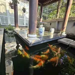 Bán biệt thự vườn 274m² hầm + 3 tầng hẻm xe hơi đường Phổ Quang, Phú Nhuận - Ảnh thu nhỏ 1