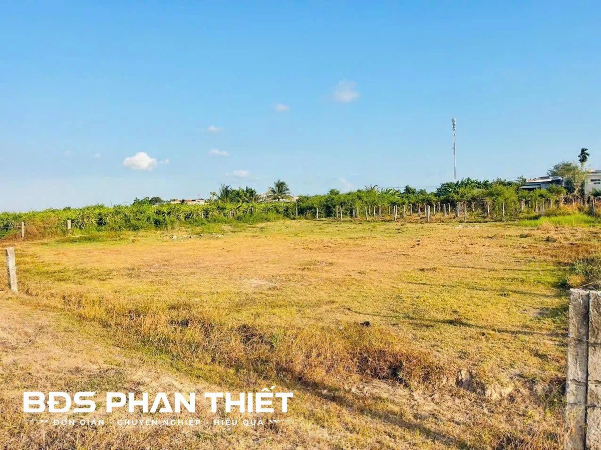 Bán đất vườn view hồ Hàm Liêm 1427 m2 - Ảnh thu nhỏ 2