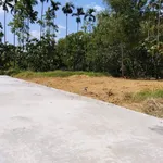 Bán đất Huế 122m² ngang 7m, 1,05 tỷ - Ảnh thu nhỏ 3