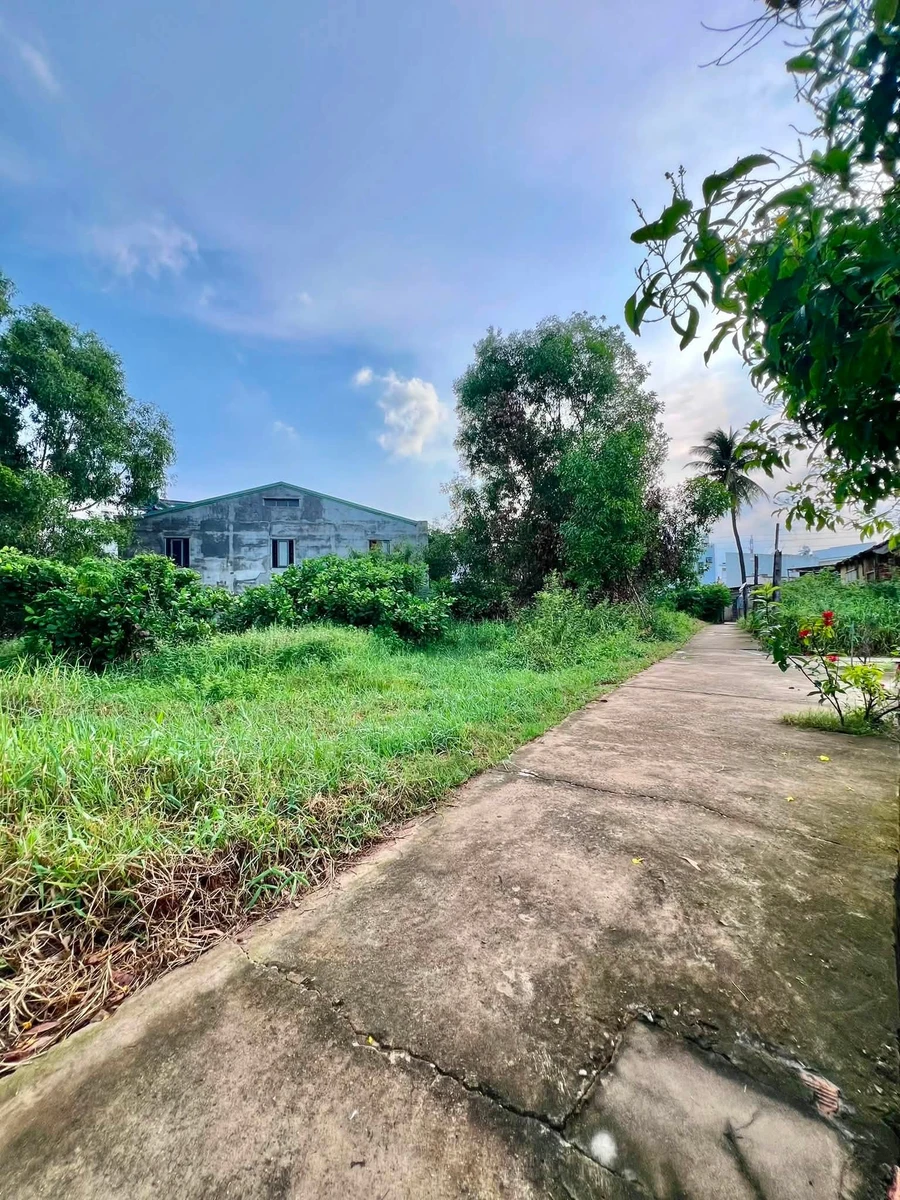 Bán đất 876,8 m² tại Phan Thiết, Bình Thuận - Ảnh 1