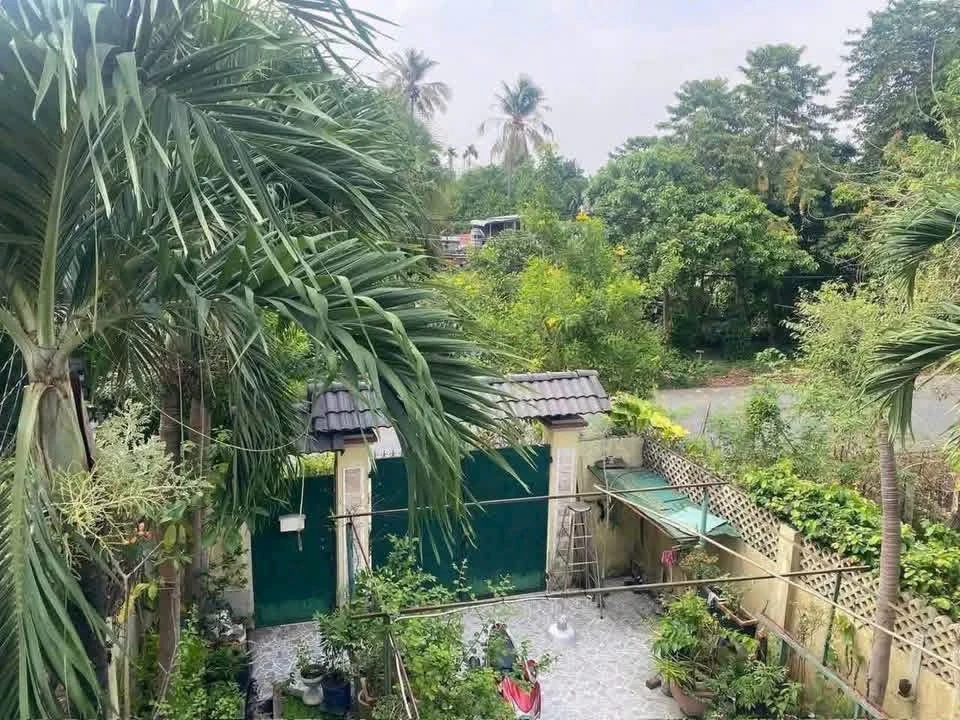 Bán nhà 1 trệt 1 lầu 248m2 Bình Nhâm 02 Bình Tân - Ảnh thu nhỏ 3