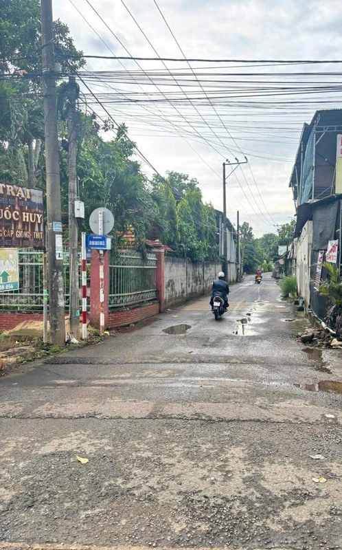 Bán vườn trái cây và trại heo 8.060m² Trảng Bom 4 tỷ 900