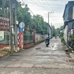 Bán vườn trái cây và trại heo 8.060m² Trảng Bom 4 tỷ 900 - Ảnh thu nhỏ 1