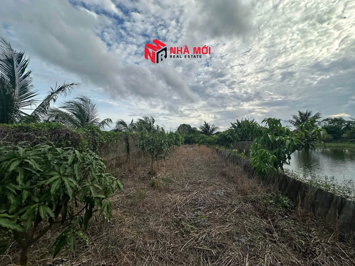Bán đất vườn 2592m² Cà Mau 1 tỷ 890 triệu - Ảnh thu nhỏ 5