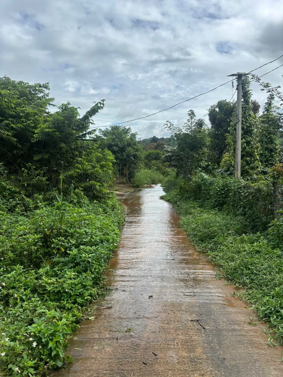 Bán đất 540m² mặt đường bê tông Bắc Gia Nghĩa Lâm Đồng - Ảnh thu nhỏ 3