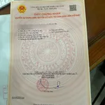 Chính chủ, bán đất 2 mặt tiền xóm 8, Nghi Trung. Ngay nhà hàng Trường Lộc - Ảnh thu nhỏ 2