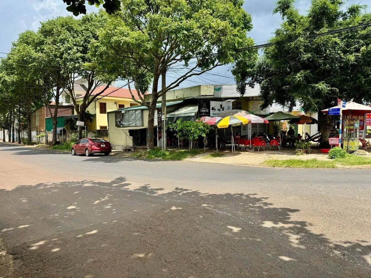 Bán đất mặt tiền Nguyễn Xuân Nguyên 160m², 2.768 tỷ - Ảnh thu nhỏ 3