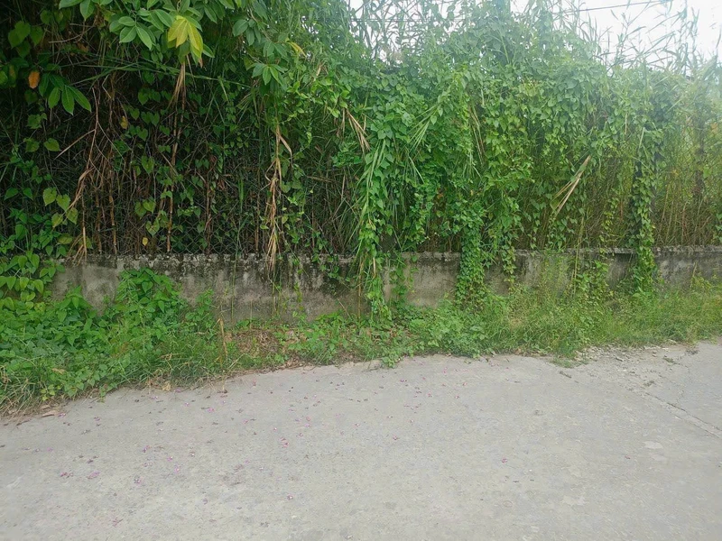 Bán 2 lô nhà liền kề 102,5 m² Tân An Tiền Giang