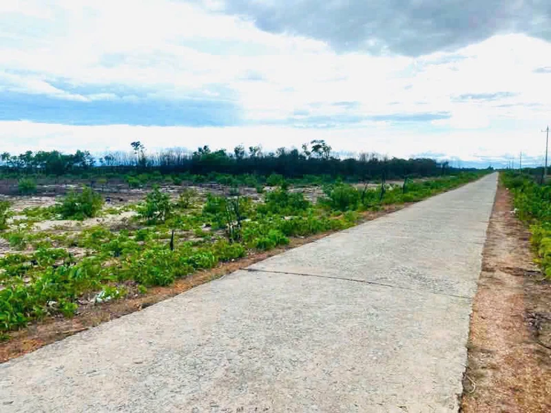 Đất biển Phong Phú, Huế 5.000m², 220 triệu/lô